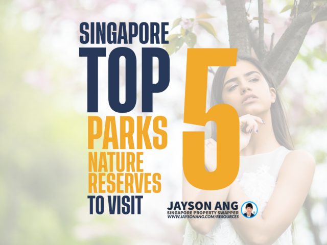 Top 5 Parks and Nature Reserves to Visit in Singapore
