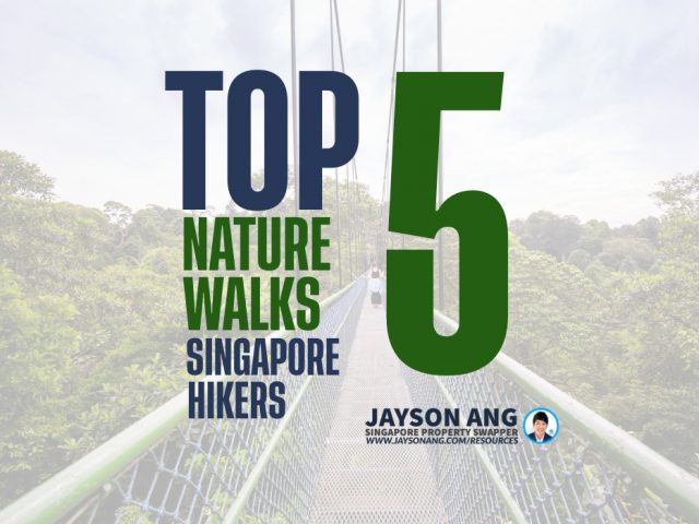 Top 5 Nature Walks in Singapore for Hikers