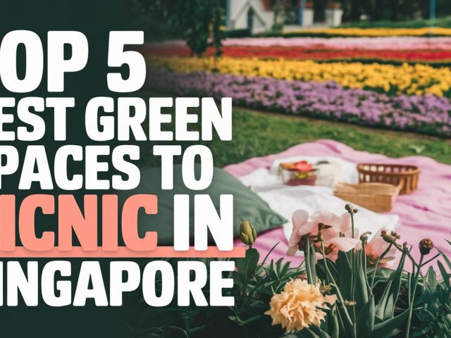 Top 5 Best Green Spaces to Picnic in Singapore