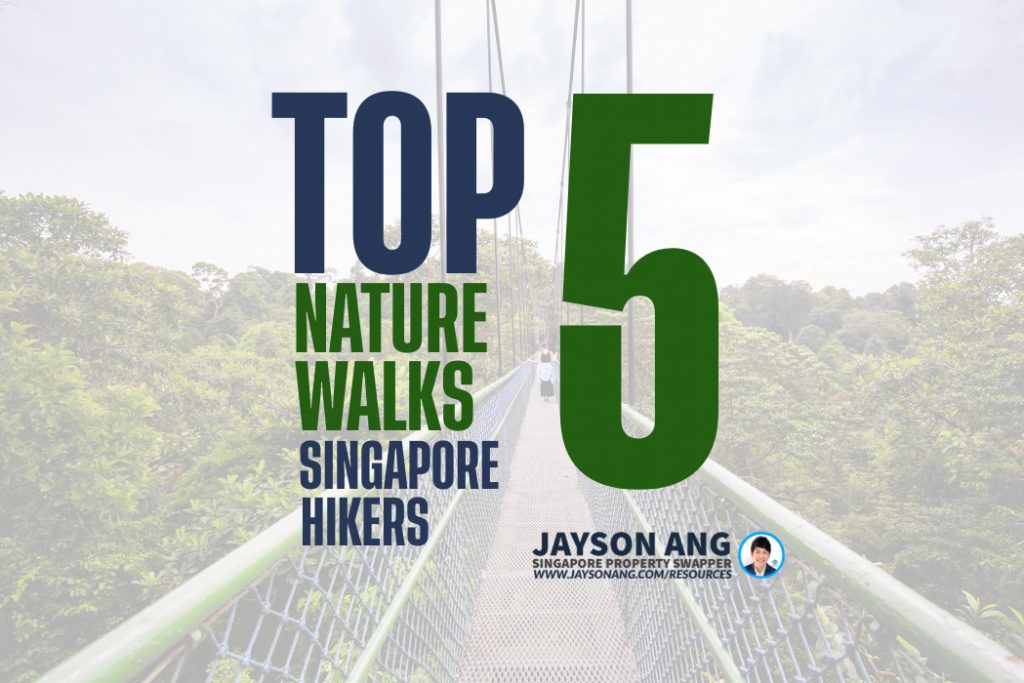 Top 5 Nature Walks in Singapore for Hikers